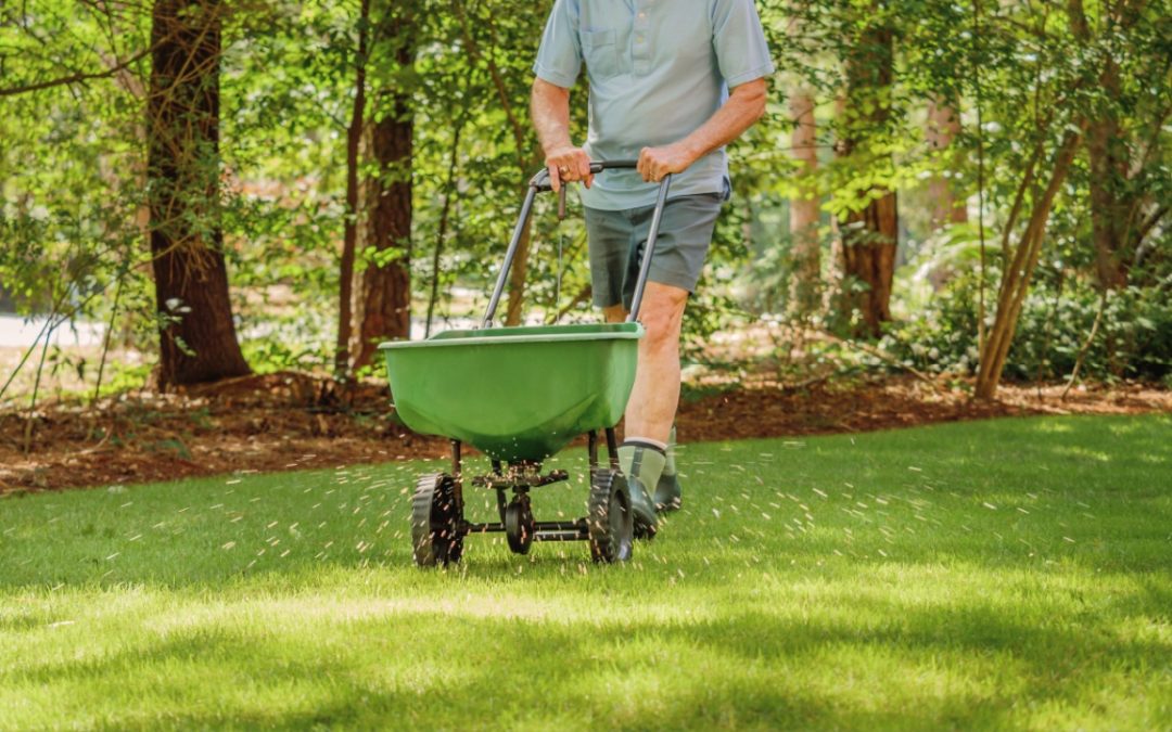 Man applying fertilizer to his lawn using a push cart